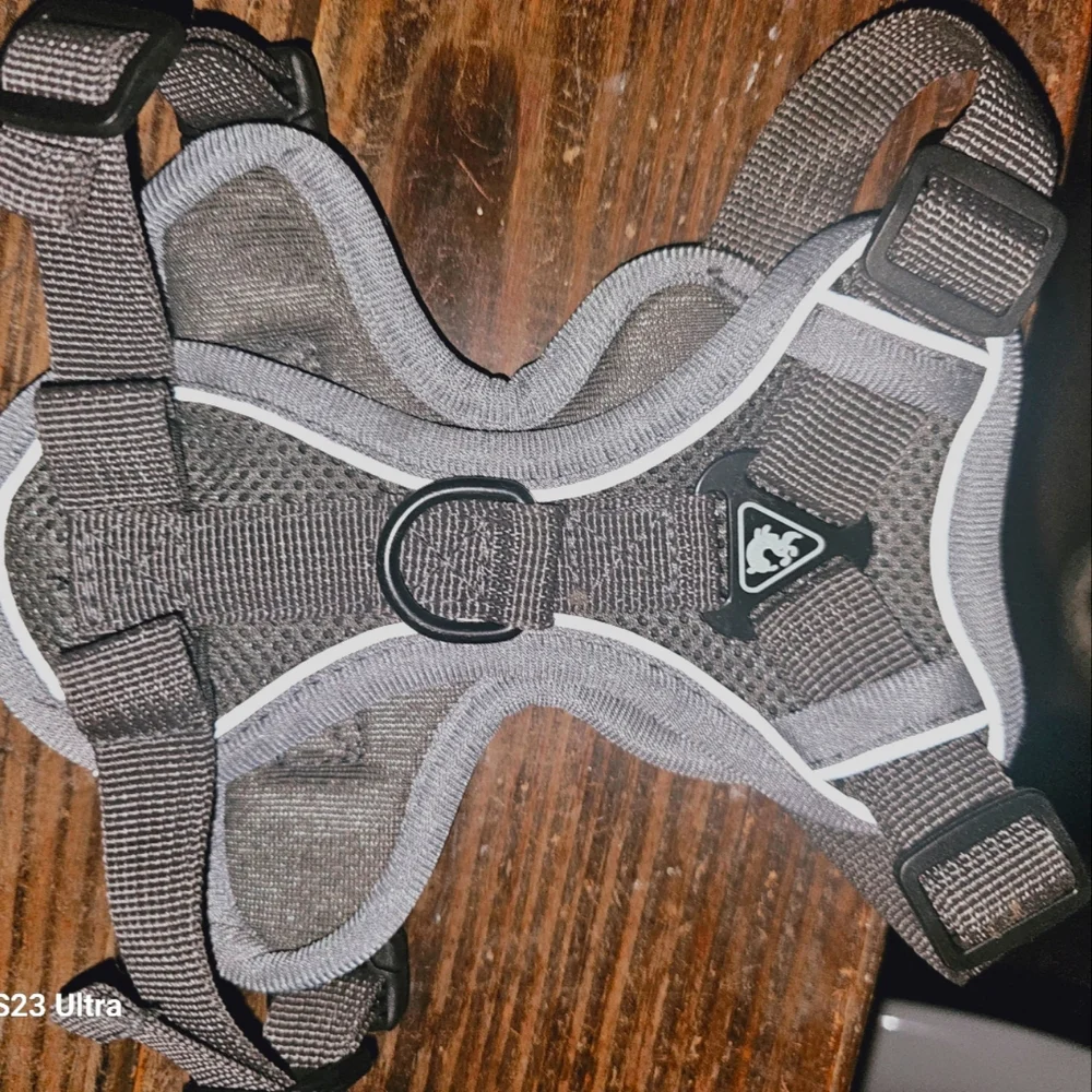 Pet harness